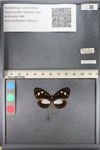 Media type: image;   Entomology 138469
